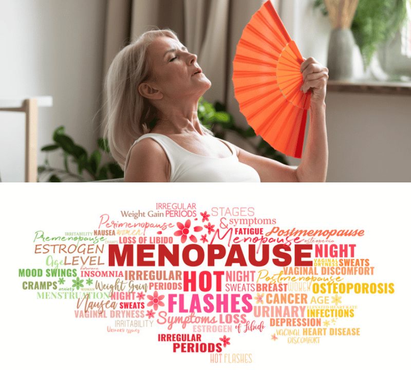 Best Supplement for Menopause: How to Choose the Right One for You